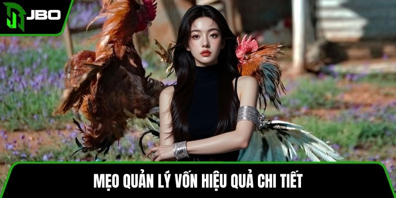 Mẹo quản lý vốn hiệu quả chi tiết