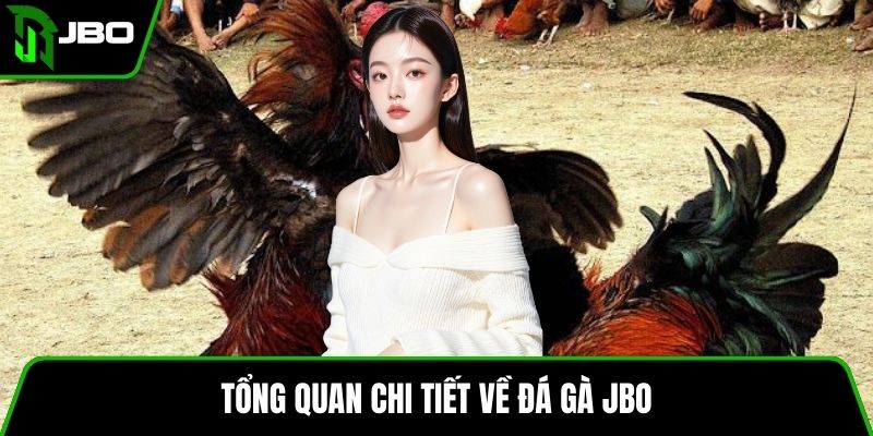 Tổng quan chi tiết về đá gà JBO