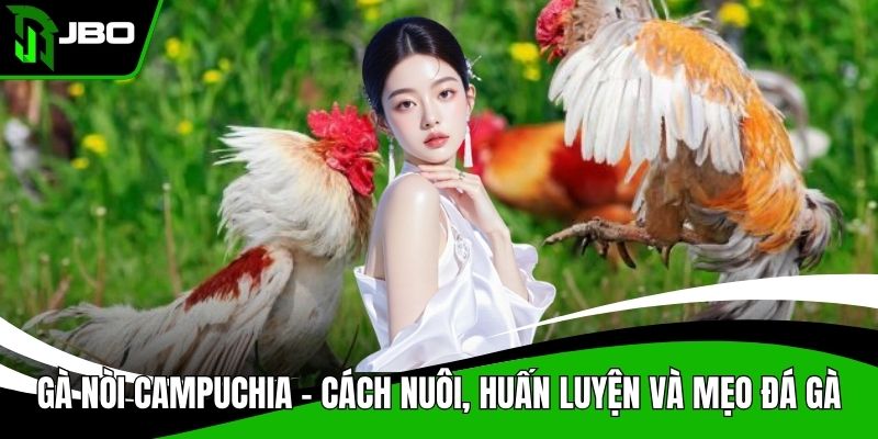 Gà nòi Campuchia