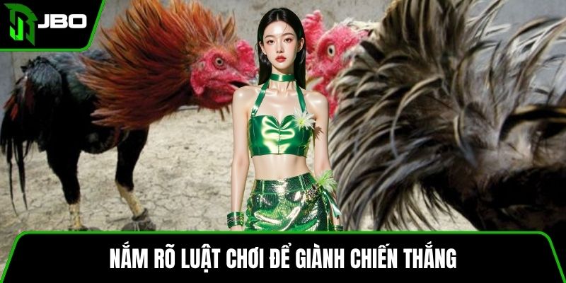 Đá Gà Cựa Dao – Luật Chơi, Cách Cược Và Mẹo Hiệu Quả 3 Nắm rõ luật chơi để giành chiến thắng