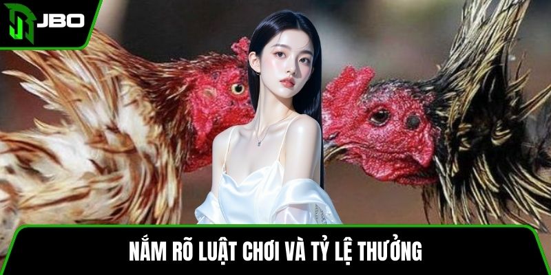 Đá Gà Ăn Thưởng JBO – Luật Chơi, Cách Cược Và Mẹo Thắng 3 Nắm rõ luật chơi và tỷ lệ thưởng