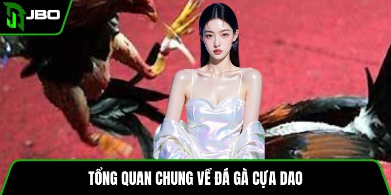 Đá Gà Cựa Dao – Luật Chơi, Cách Cược Và Mẹo Hiệu Quả 2 Tổng quan chung về đá gà cựa dao